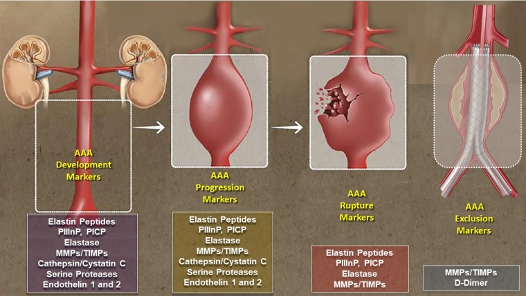 Role Of Biochemical Markers In The Diagnosis And Treatment Of An ...